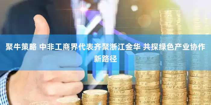 聚牛策略 中非工商界代表齐聚浙江金华 共探绿色产业协作新路径