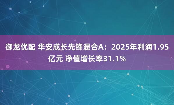 御龙优配 华安成长先锋混合A:2025年利润1.95亿元 净值增长率31.1%